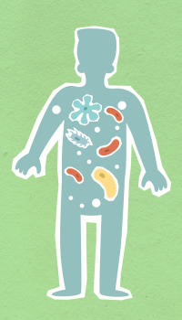 a cartoon silhouette of a man filled with colourful bacteria